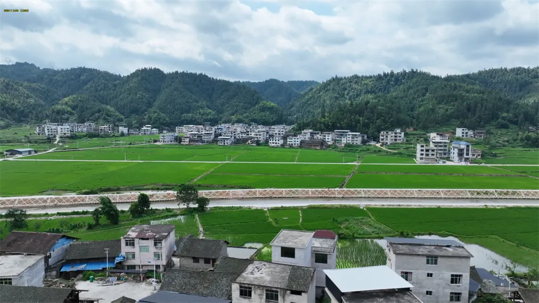 4-2 Вид на проект высококачественных сельскохозяйственных угодий в деревне Синьчжайтунь, поселок Ао, уезд Липин. Фото: Мэй Цзябинь