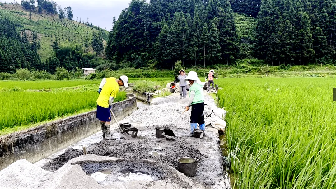 4-3 Место реализации проекта высококачественных сельскохозяйственных угодий в деревне Синьчжайтунь. Фото: Мэй Цзябинь